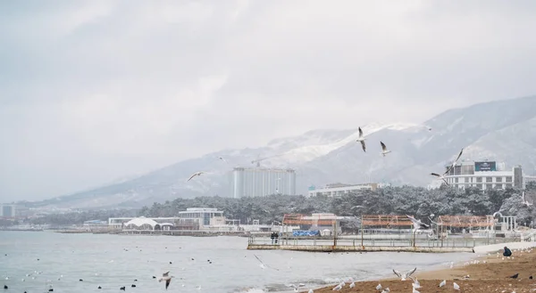 Stadtstrand während der Wintersaison, mit der Markotkh-Kette im Hintergrund. Stockbild