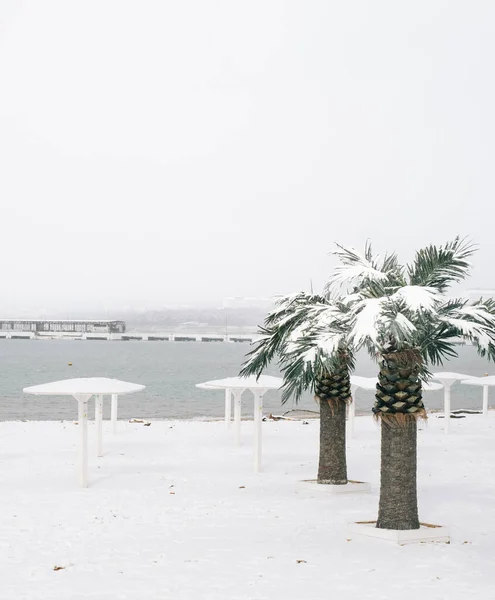 Kilátás a tengerpartra és a város strandjára Gelendzhik hóesés idején. — Stock Fotó