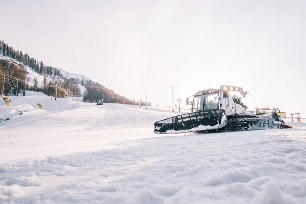 Snowcat Prinoth at the Rosa Khutor ski resort during the preparation of the ski slopes. — Stock Photo, Image