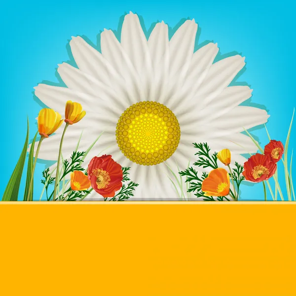 Hermosa tarjeta con margaritas y amapolas — Vector de stock