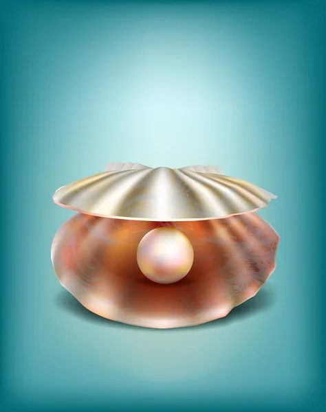 Ilustração realista de uma concha do mar com uma pérola — Vetor de Stock