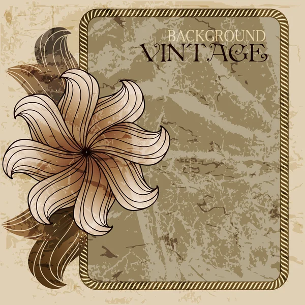 Moldura vintage com papel velho e flor — Vetor de Stock