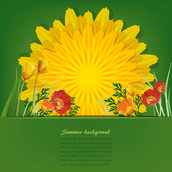 Fondo brillante de verano con diente de león y amapolas — Vector de stock