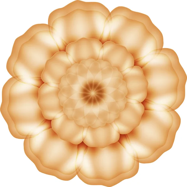 Vackra golden flower isolerad på vit bakgrund — Stock vektor