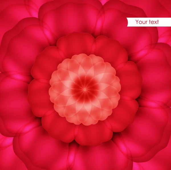 Háttérrel, vörös rózsa. — Stock Vector