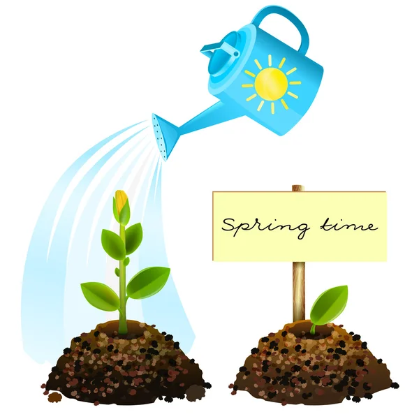 Flower watered from watering. Springtime — Stock Vector