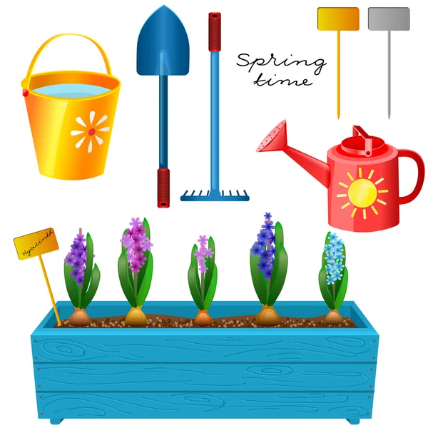 Caixa com jacintos floridos e um conjunto de ferramentas de jardim — Vetor de Stock