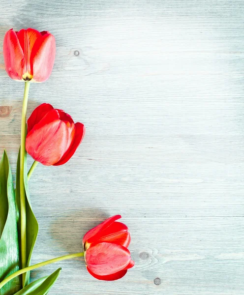 Tres tulipanes rojos sobre una textura de madera — Foto de Stock