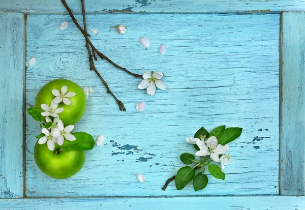 Green apples and apple flowers on blue wooden table — Stock Photo, Image