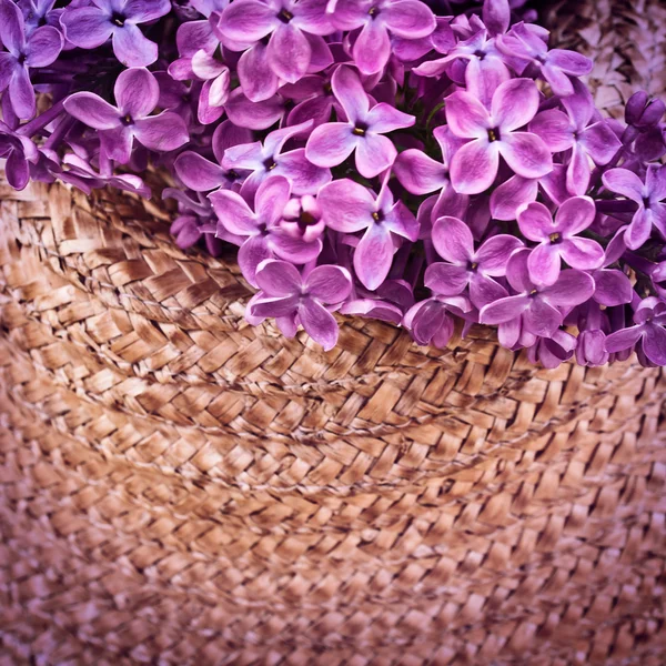 Beautiful purple lilac — Stock Photo, Image