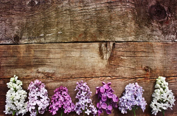 Quadro bonito com ramo de lilás — Fotografia de Stock