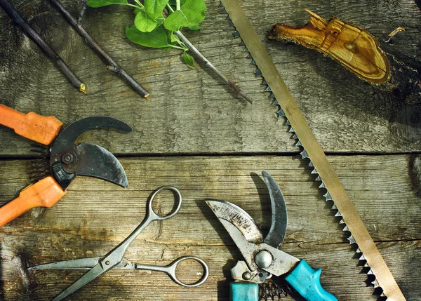 Conjunto de ferramentas de jardim. Poda no jardim . — Fotografia de Stock