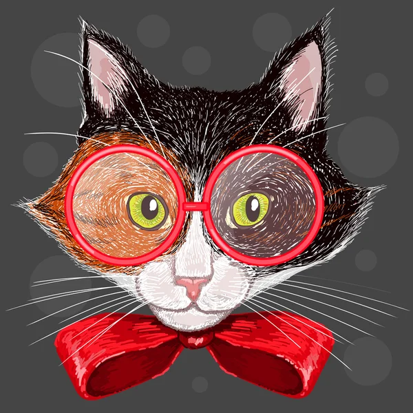 Calico chat en lunettes rouges et un arc — Image vectorielle