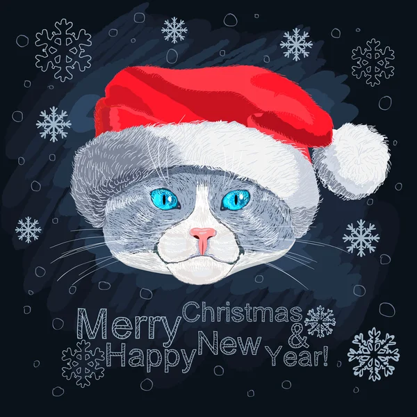 Gato de ojos azules en el sombrero de Santa Claus — Archivo Imágenes Vectoriales