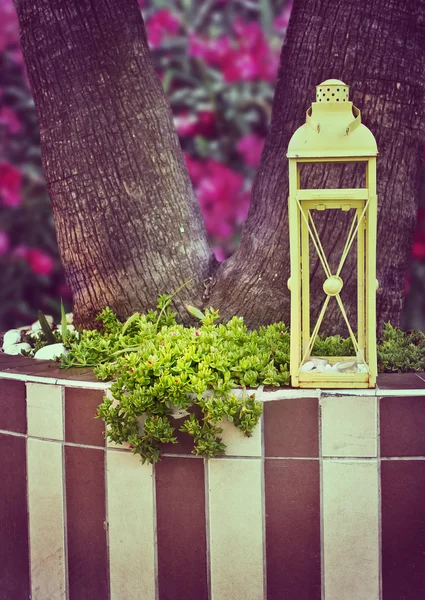 Decorative lantern and flowering tree — Stock Photo, Image