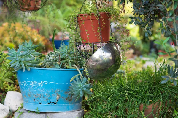 Ridurre, riutilizzare, riciclare fioriere idee artigianali. Design del giardino riciclato e stile di vita low-waste. — Foto Stock