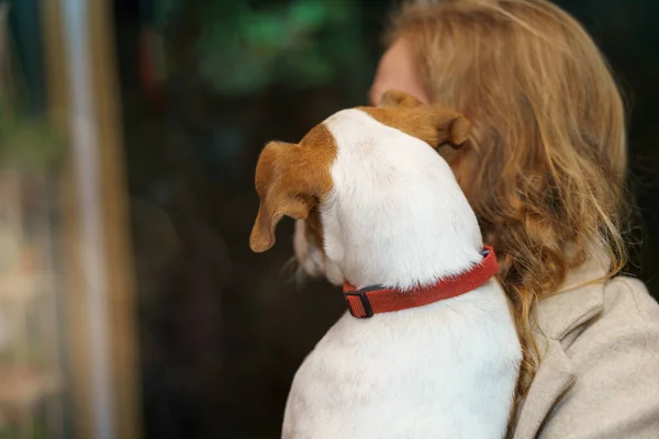 Giovane donna che tiene un cane tra le mani — Foto Stock
