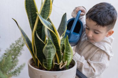 Little boy is watering flowers on the balcony at home.