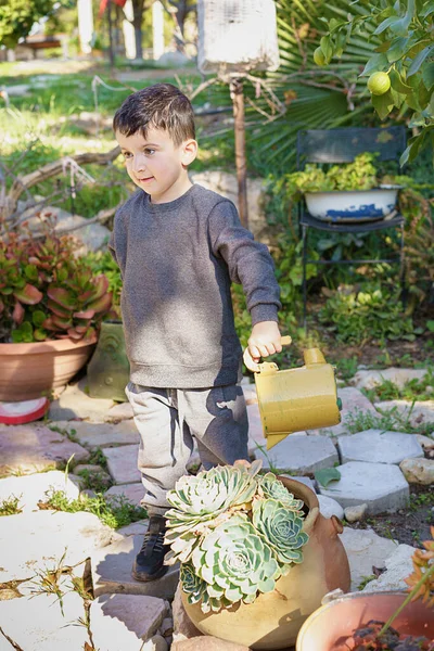 Маленький мальчик поливает цветы на беседке. — стоковое фото
