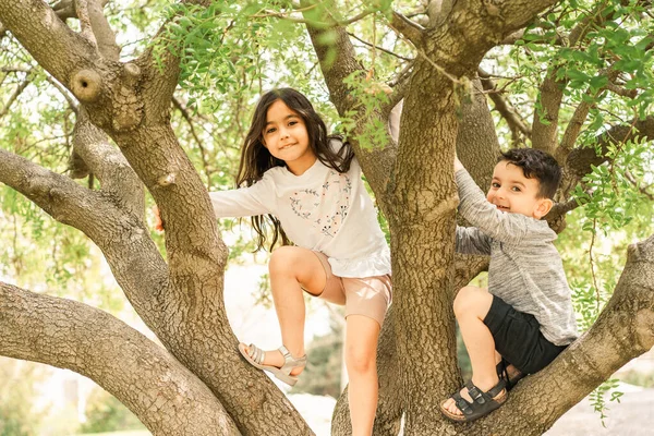 Kleine Kinder klettern auf Baum. lizenzfreie Stockbilder