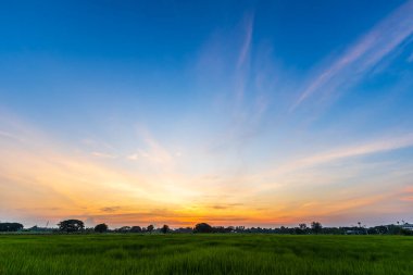 Alacakaranlık mavisi parlak ve turuncu sarı dramatik günbatımı gökyüzü kırsal ya da plaj renkli bulutlu hava arkaplanlı.