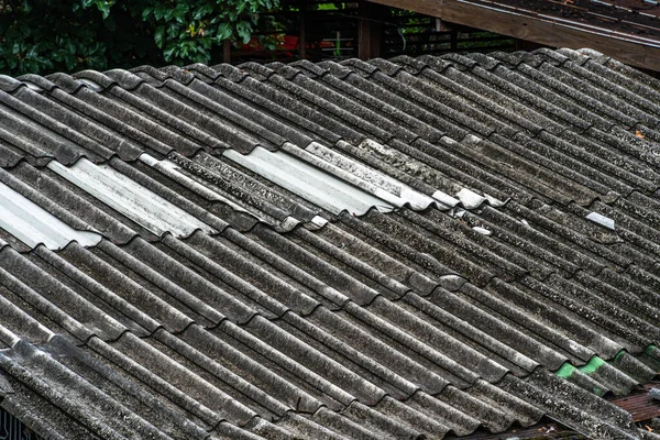 Background Tile Texture Roof Slate Roof Black Gray Overgrown Lichen — Stock Photo, Image