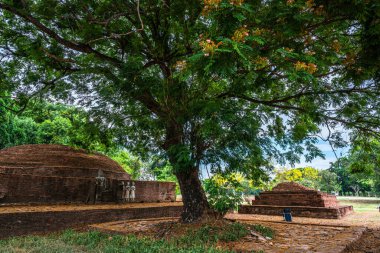SRI SUKHOT tapınağındaki antik Budist figürleri Chan Sarayı 'ndaki eski bir Budist tapınağıdır ve Tayland' ın Phitsanulok şehrinde önemli bir turistik merkezdir..