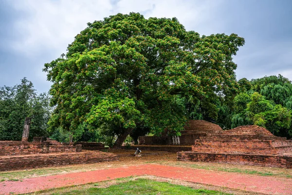 Alte Buddha Figuren Sri Sukhot Tempel Ist Ein Alter Buddhistischer — Stockfoto