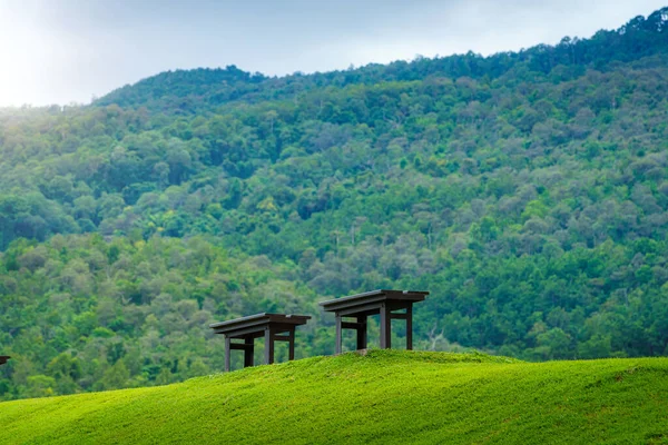 公園の緑の芝生の上の2つの椅子 自然の森の中の鮮やかなトーン山の景色白い雲と春の曇りの空の背景 — ストック写真