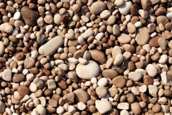 Pebbles — Stock Photo, Image