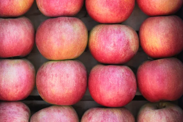 Veel rode appels — Stockfoto