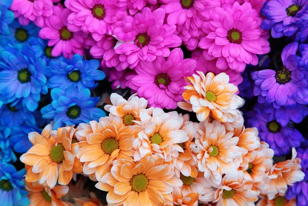 Boeren markt verse boeketten van kleurrijke bloemen — Stockfoto