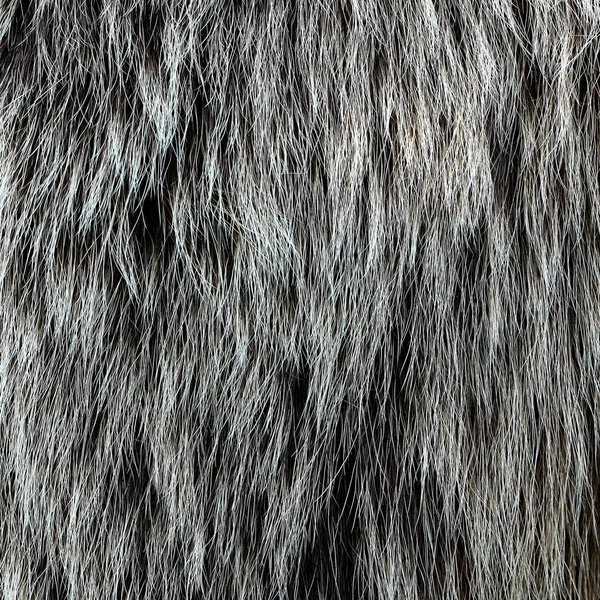 Dierlijke bont close-up — Stockfoto
