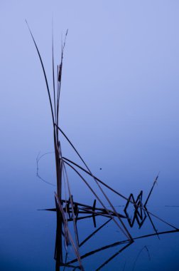 uzun gölet üzerinde