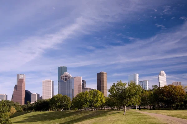 Houston manzarası