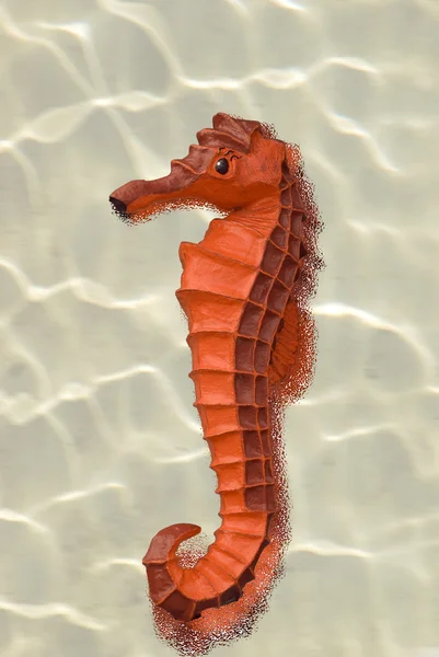 Seahorse rit — Stockfoto