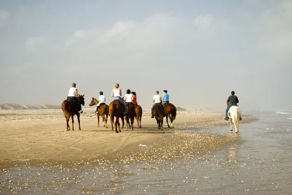 Cavalgando cavalos na praia Imagens Royalty-Free