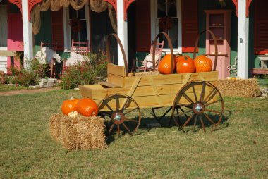sonbaharda hasat bahçe dekor