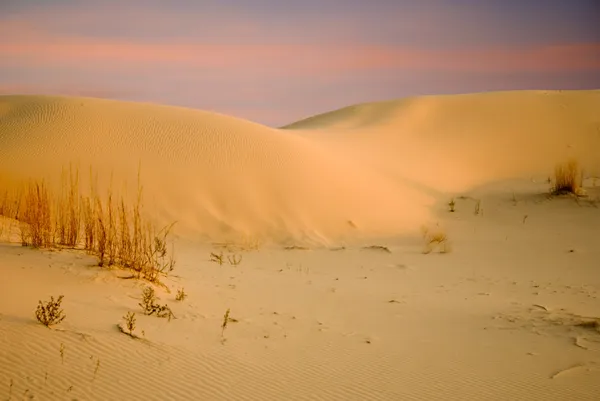 Сумерки в дюнах — стоковое фото