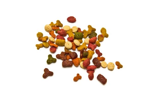 Kediler için Kuru gıda