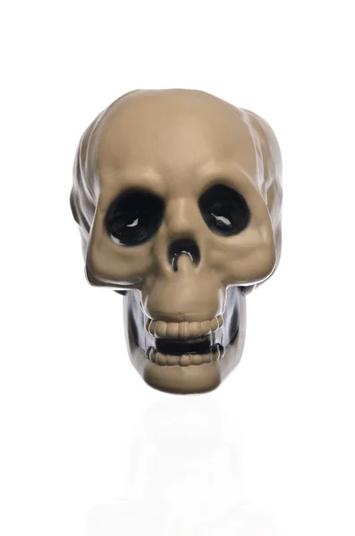Scary Halloween Skull Stock Image