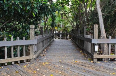 Parkta tahta bir köprü.