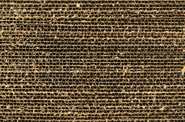 karton kutu ile yapılan yakın çekim kedi tırmalamak