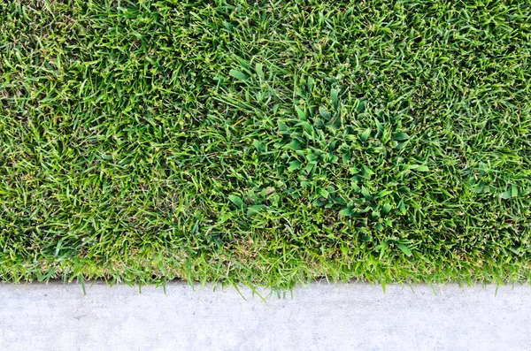 Hierba verde con curva blanca —  Fotos de Stock