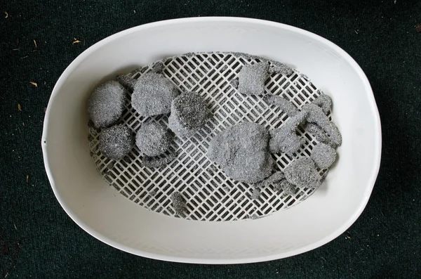 Kirli kedi kil çöp kutusunda