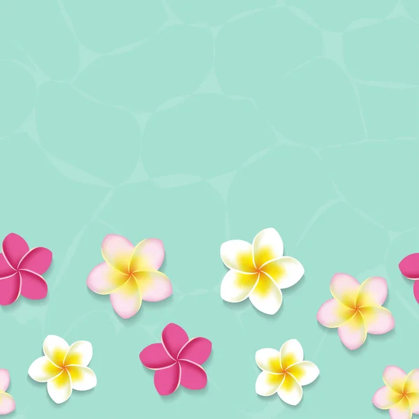 Tropikal frangipani çiçek su — Stok Vektör