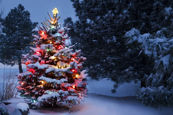 Brightly lit neve coberta árvore de Natal acolhe manhã de Natal — Fotografia de Stock