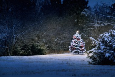 karla kaplı Noel ağacı büyülü ışık yanar
