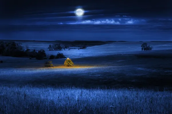 Lite mágicamente el árbol de Navidad distante en la noche al aire libre con la luna —  Fotos de Stock