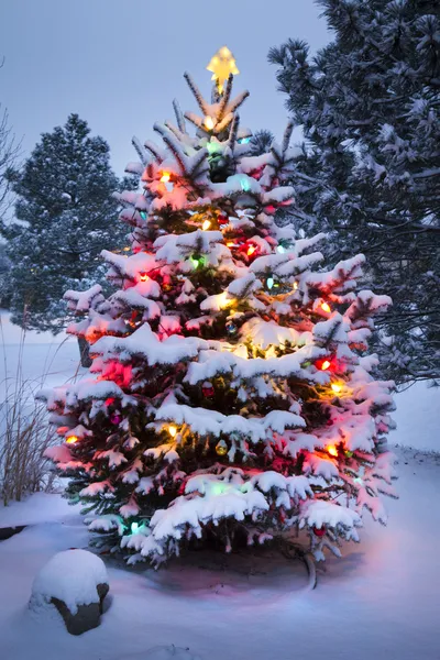 Ярко зажженный снег покрыл рождественскую елку после зимнего шторма — стоковое фото